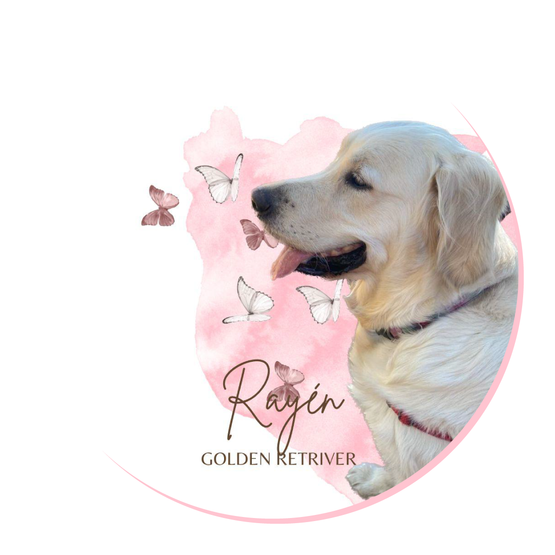 logo menu